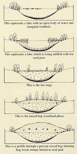 lake to bog illustartion